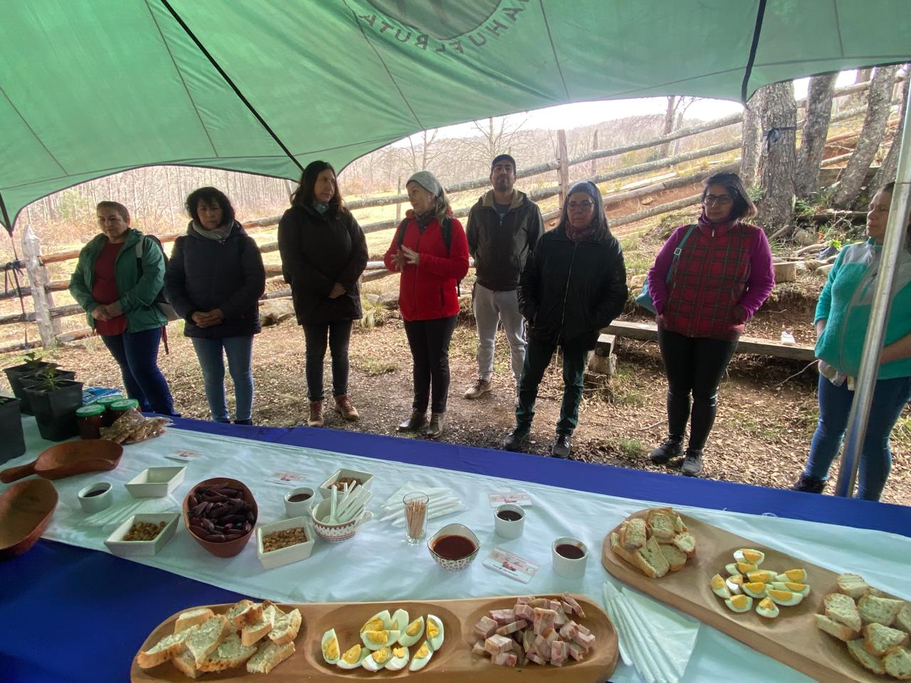 Educación y Empoderamiento Infantil para un Futuro Sostenible en Nahuelbuta: Una Alianza entre UNICEF y CMPC